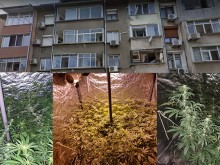 Ето на какво се натъкнаха полицаи от Бургас