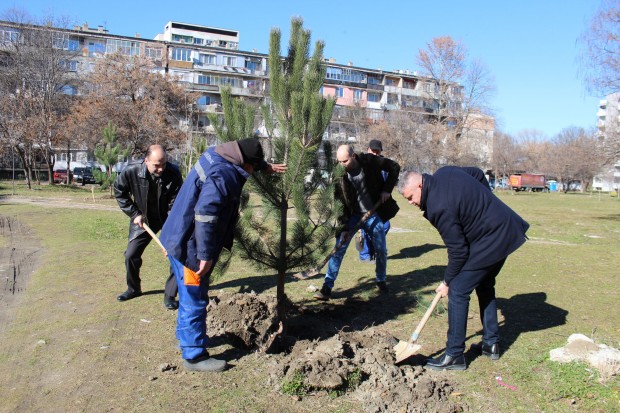 Залесителна акция бе проведена в парк Красива България“ в Северен“.