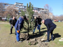 Проведоха залесителна акция в район "Северен"