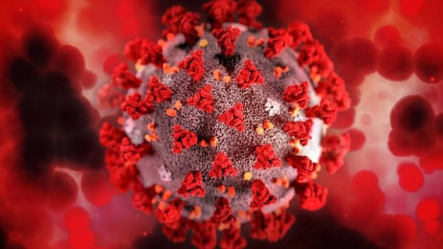 6 278 са новите случая на коронавирус през изминалото денонощие