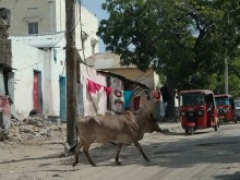 Адът на Земята съществува! Вижте къде се намира