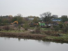 Маркираха дърветата в Марица, които ще останат непокътнати