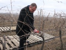 Министър Иванов: Държавата ще бъде добър партньор на всеки земеделски производител