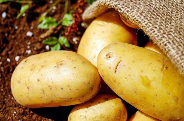 Българските картофопроизводителите остават без субсидиране от държавата Изправени ли са