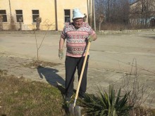 В Чернозем проведоха залесителна акция