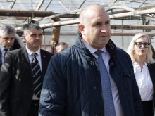 Радев към правителството: Недопустимо е стратегически отрасли да оцеляват на кредит