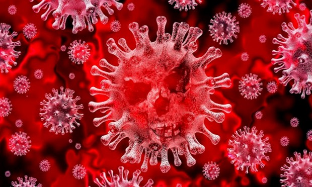 През изминалите 24 часа в страната са установени 4616 нови случая на коронавирусна