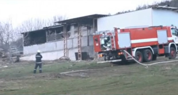 Изгоря ферма със стотици животни край Велико Търново  Пожарът е избухал