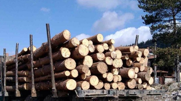Нарушения при превозване на дървесина в община Хисаря