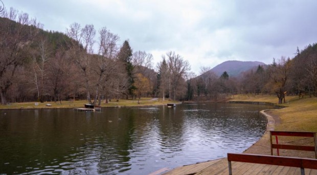 55 нови полудиви зеленоглави патици вече обитават езерото на парк