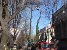 Продължава кастренето на клони по районите