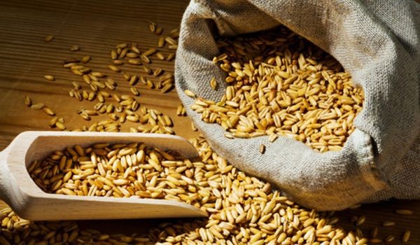 Износът на зърно в момента е негласно забранен въпреки липсата