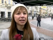 Купете си роза за 6 лева и помогнете на едно семейство да сбъдне мечтата си