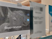 На аптекари им писна да обясняват, че йодът е изкупен и направиха това!