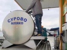 Българските бензиностанции са продали в пъти, колкото за 4 дни в рамките на 6 часа