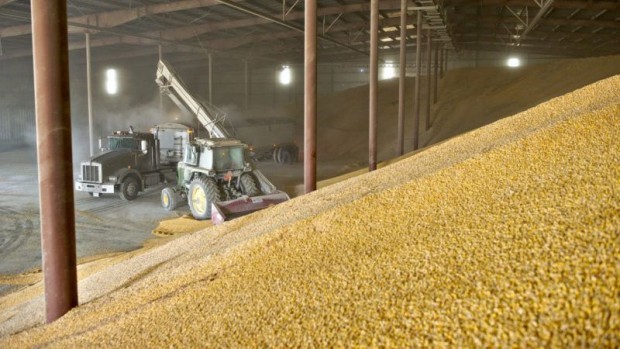 Над 3 милиона тона пшеница реколта 2021 година лежат в