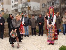 Шефовете на центъра засадиха елхички в нова градинка 
