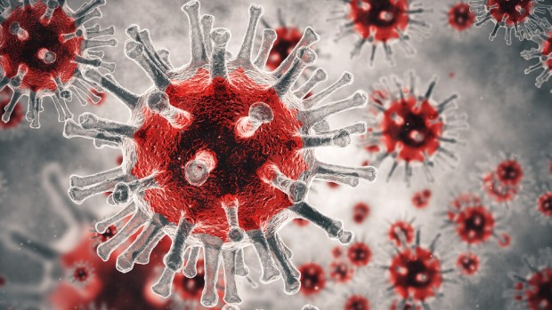 Новите случаи на коронавирус в страната през последното денонощие са 1601