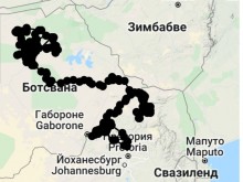 Малкото кресливо орле Александрия трябва да се завърне в България през април
