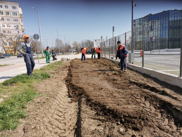Екип на Градини и паркове“ възстановява зелените площи пред новоизградения