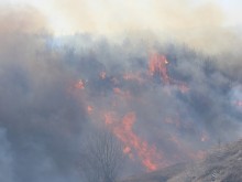 Голям пожар бушува край Дупница, АМ "Струма" е задимена
