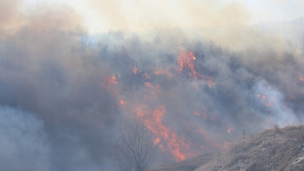 Голям пожар бушува край Дупница Част от АМ  Струма  е задимена предаде БГНЕС