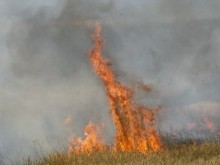 Вятърът разпали няколко пожара край Пловдив