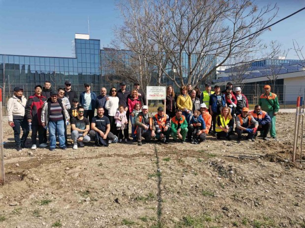 Сътрудници на голям завод близо до Пловдив засадиха 70 ясена