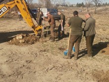 ДГС Пловдив: Отсечени са опасни тополи по коритото на Въча