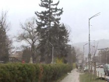 Ураганен вятър удари столицата ни
