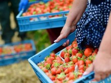 Важна информация за българите, които търсят работа в чужбина