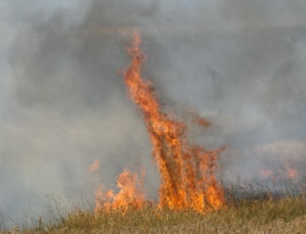 За пореден пожар в пловдивското село Марково съобщи кметът Десислава