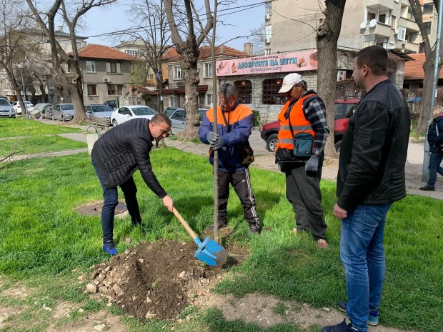 Започна облагородяване на междублоковото пространство между булевард Хаджи Димитър и