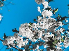 Днес ни очакват пролетни температури, утре нещата се променят