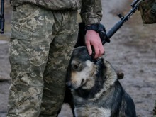 Българин от Киев: Всичките животни, които са имали хората, са разстреляни