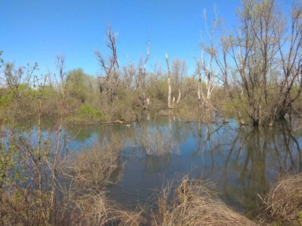 Откриха сериозни проблеми във ВЕЦ Кадиево