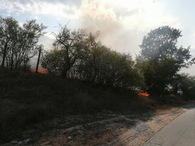 Пожар е избухнал този следобед между странджанските села Бръшлян и