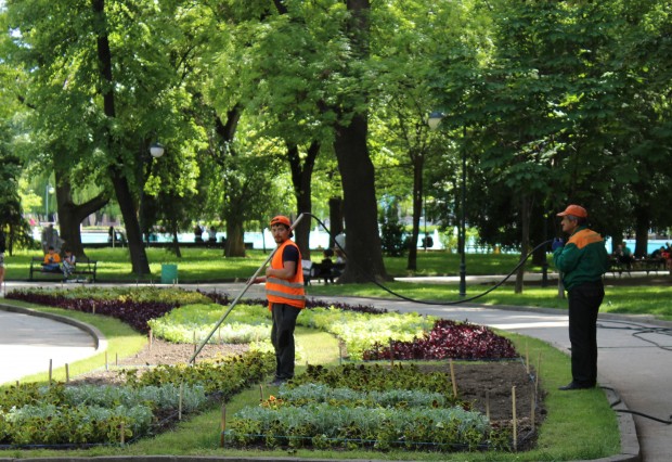 Общинското предприятие Градини и паркове“ в Пловдив търси да назначи