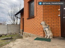 Тези кадри ще ви трогнат!