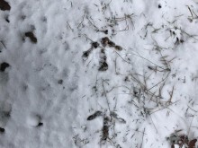 �������� ���������: ������ ������ � ������� ����, � ��� ��� ����� ���� ���� �����