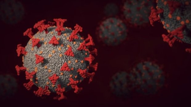 895 са новите случаи на коронавирус за последното денонощие, сочат данните