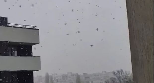 ��� ����� ���� �������� �� ��. "���� �����" ������� �� ���� �������