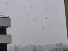 ��� ����� ���� �������� �� ��. "���� �����" ������� �� ���� �������