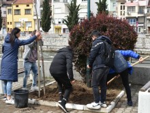 Ученици засаждаха дървета в Асеновград