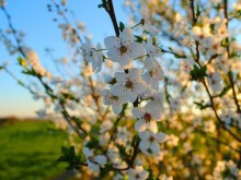 На Великден ще се радваме на слънчево време