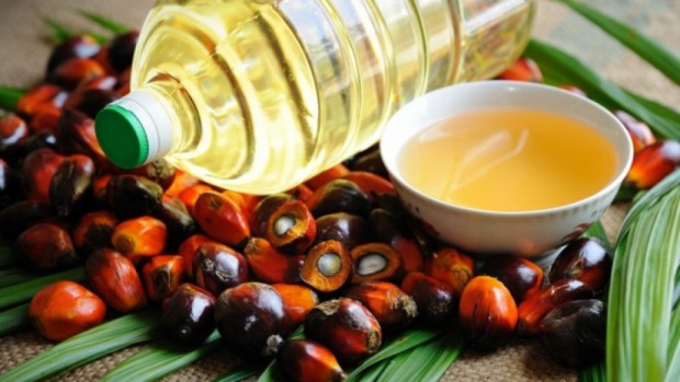 Индонезия въвежда забрана на износа на палмово масло от 28