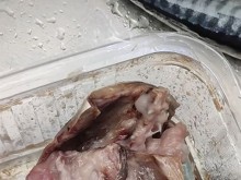 ��� ������ ������ ��������� �� "Lidl" �� ���� �������