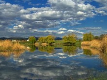 �������� ������: ���������� "����� ���������� �����" ���� � �������� ���������