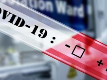 491 �� ������ ������ �� ����� � ���, 155 �� �������������� � �����