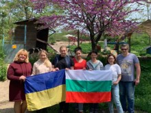Украински бежанци с благотворителна инициатива за бездомните кучета